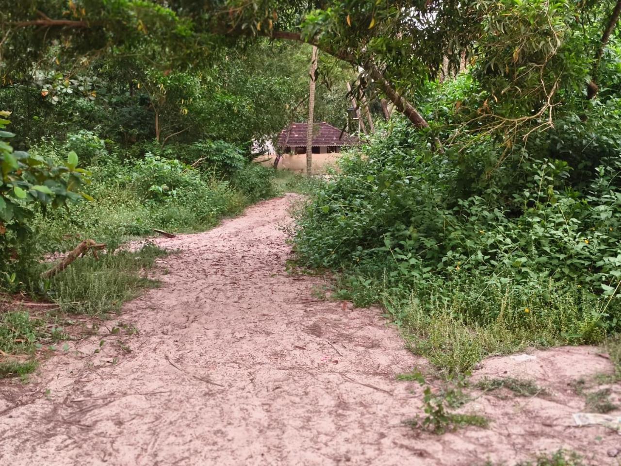Marrari Felix Home Alappuzha 外观 照片